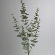 Elegáns, sűrű levélzettel rendelkező mű eukaliptusz ág természetes hatású elrendezésben.