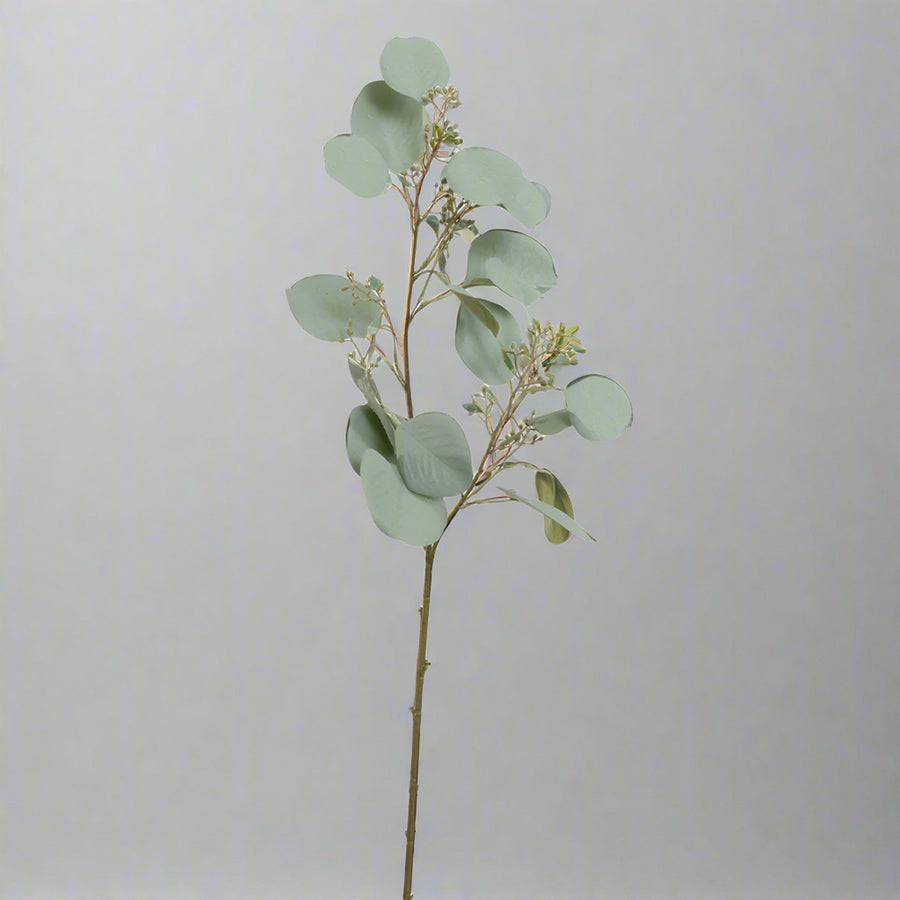 Teljes szürkészöld mű eukaliptusz ág 60 cm, szürke háttérrel.