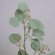 Bogyós mű eukaliptusz ág leveleinek közeli részlete, matt zöldes színnel.