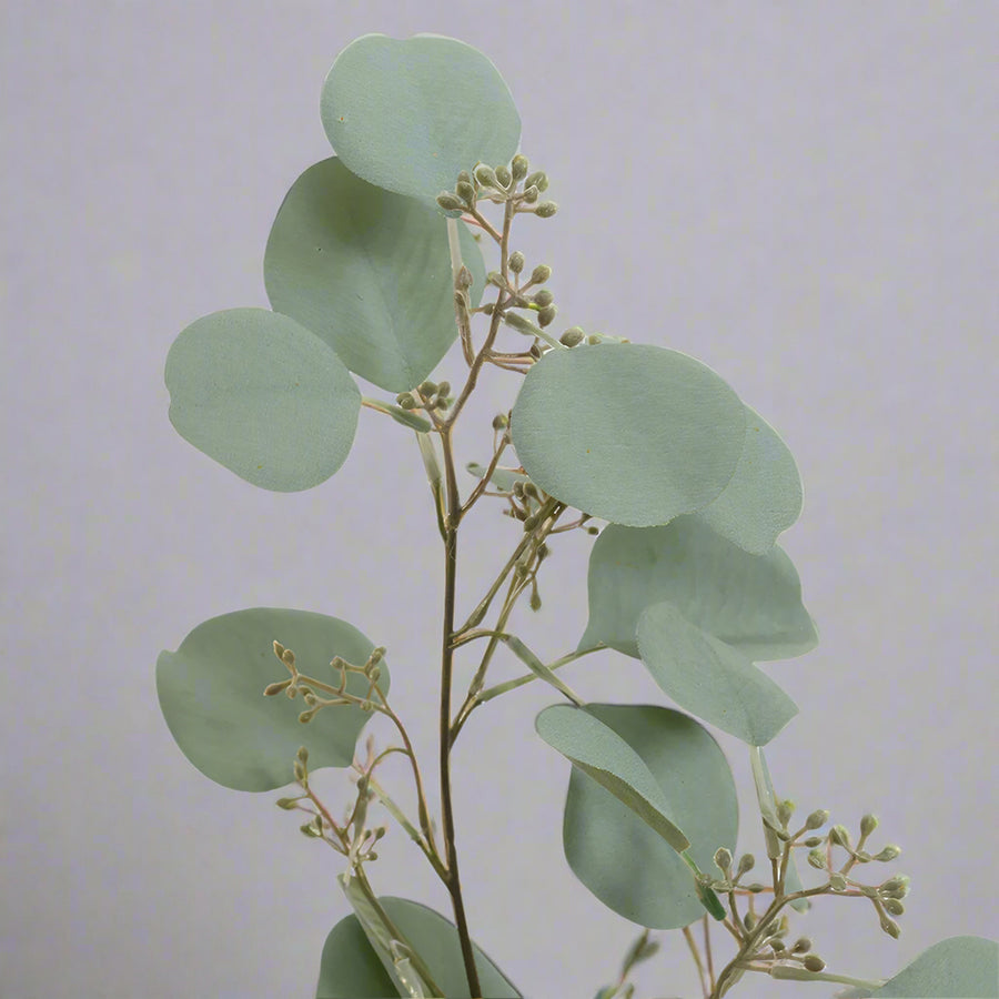 Bogyós mű eukaliptusz ág leveleinek közeli részlete, matt zöldes színnel.