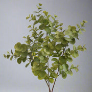 Élethű zöld eukaliptusz ág dekor fotó háttérrel