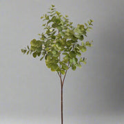 Élethű zöld eukaliptusz ág dekor fotó háttérrel..