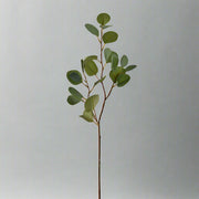 Élethű részletekben gazdag zöld mű eukaliptusz ág szürke háttér előtt