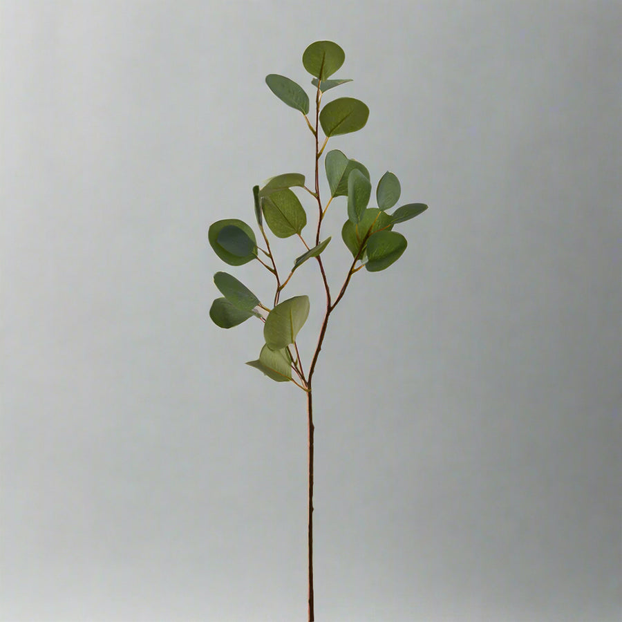 Élethű részletekben gazdag zöld mű eukaliptusz ág szürke háttér előtt