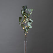 EUCALYPTUS dekorág hangulatvilágítással, modern beltéri dekoráció