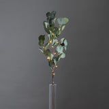 EUCALYPTUS dekorág hangulatvilágítással, modern beltéri dekoráció