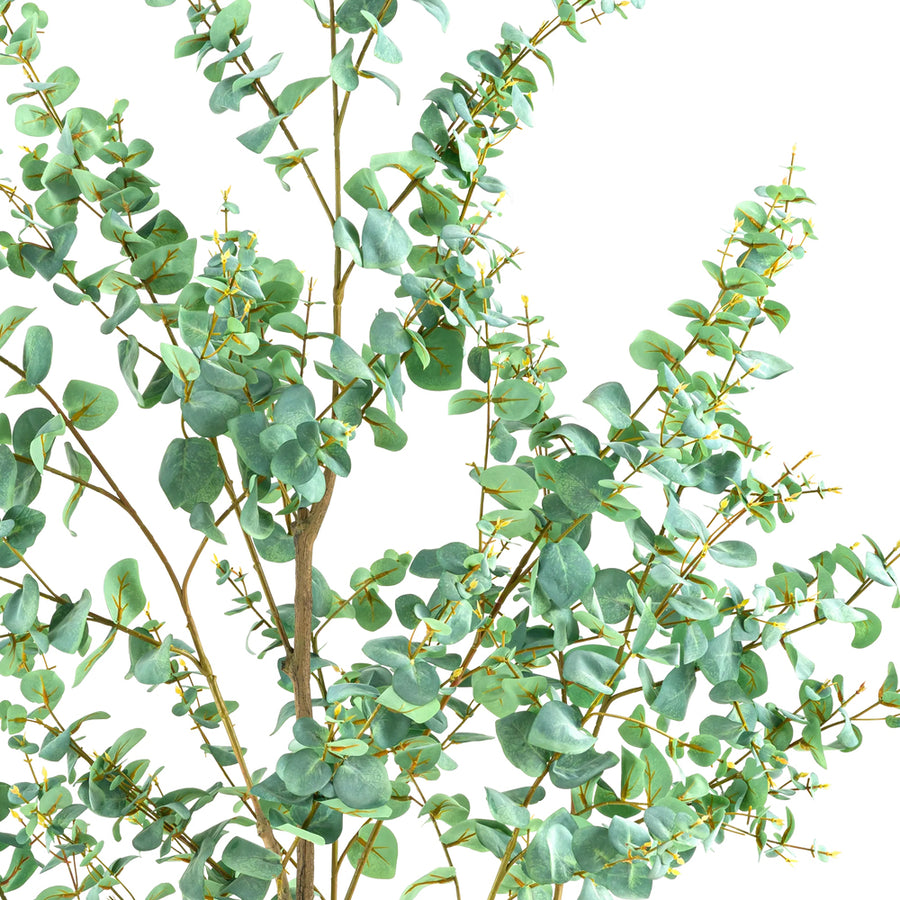 EUCALYPTUS mű eukaliptusz fa természetes hatású szürkészöld levelei közelről