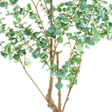 EUCALYPTUS mű eukaliptusz fa természetes hatású többtörzsű kialakítása