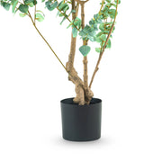 EUCALYPTUS 180 cm mű eukaliptusz fa többtörzsű kialakítása fekete ültetőedényben