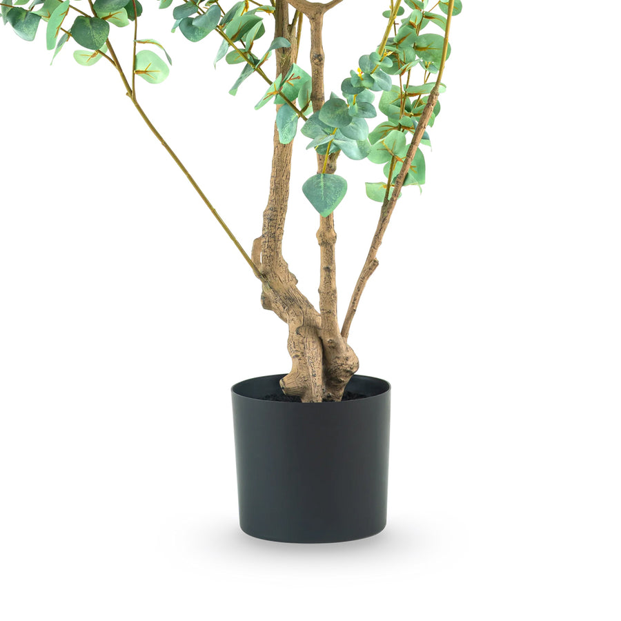 EUCALYPTUS 180 cm mű eukaliptusz fa többtörzsű kialakítása fekete ültetőedényben