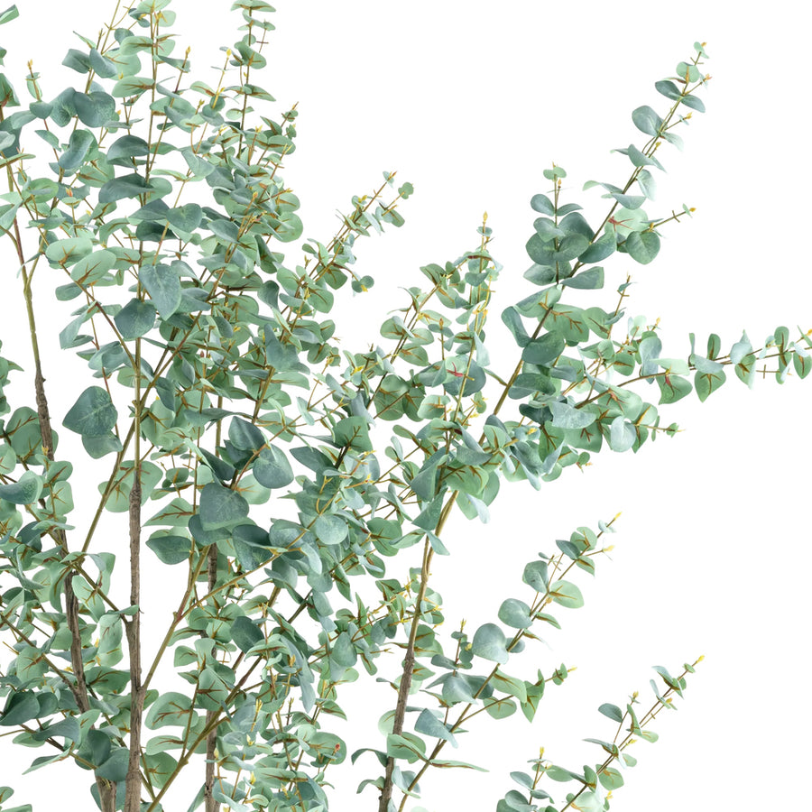 EUCALYPTUS mű eukaliptusz fa természetes hatású szürkészöld levelei közelről