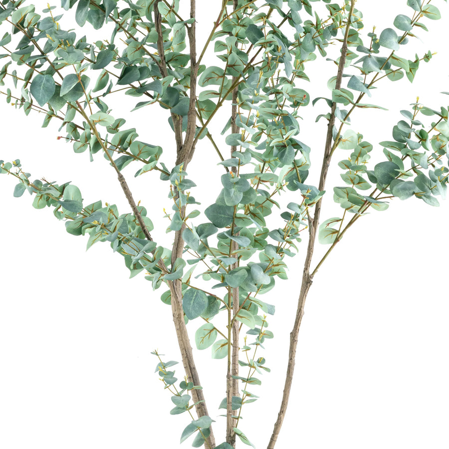 EUCALYPTUS mű eukaliptusz fa természetes hatású többtörzsű kialakítása
