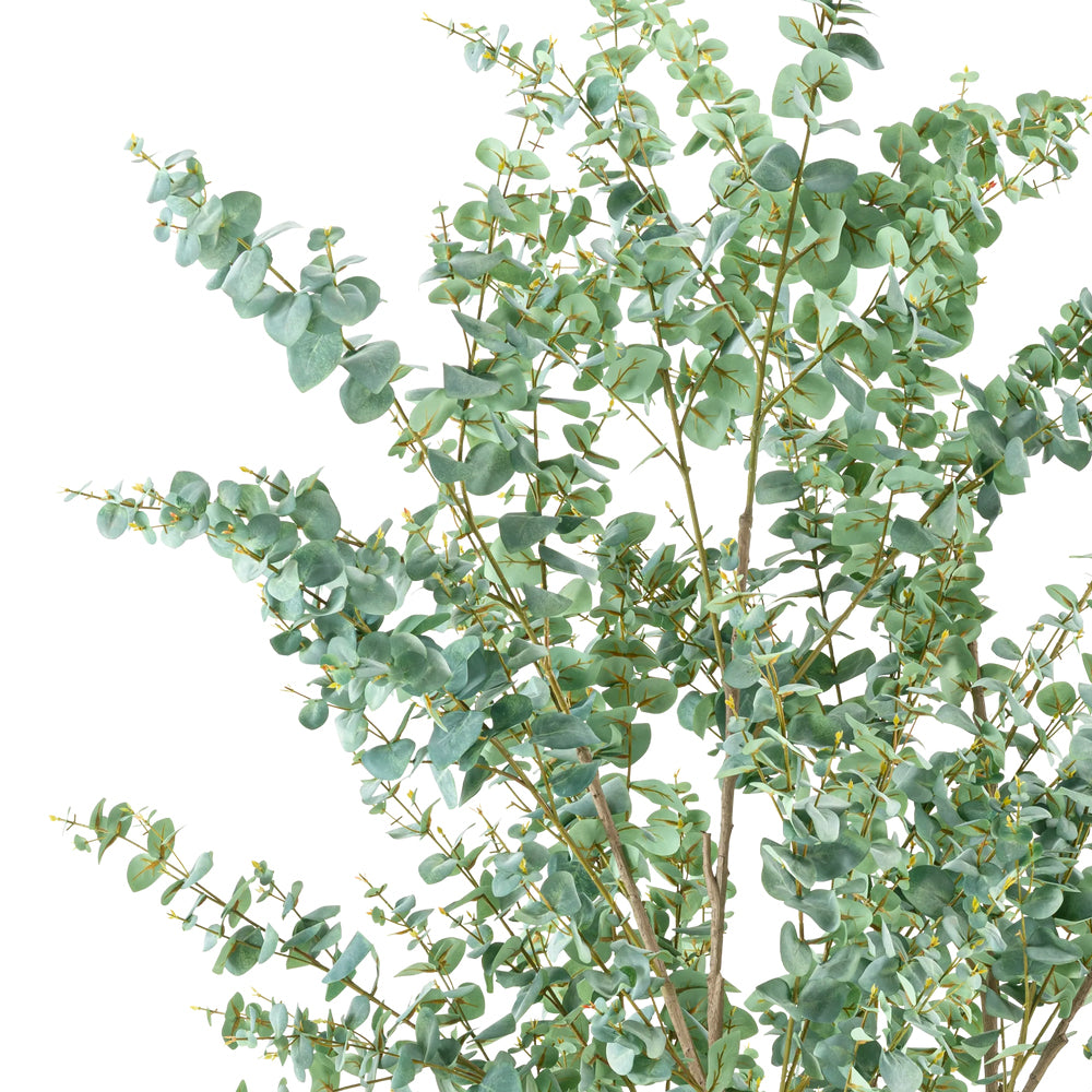 EUCALYPTUS mű eukaliptusz fa természetes hatású szürkészöld levelei közelről