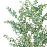 EUCALYPTUS mű eukaliptusz fa természetes hatású szürkészöld levelei közelről