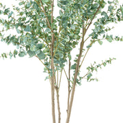 EUCALYPTUS mű eukaliptusz fa természetes hatású többtörzsű kialakítása