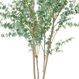 EUCALYPTUS mű eukaliptusz fa természetes hatású többtörzsű kialakítása