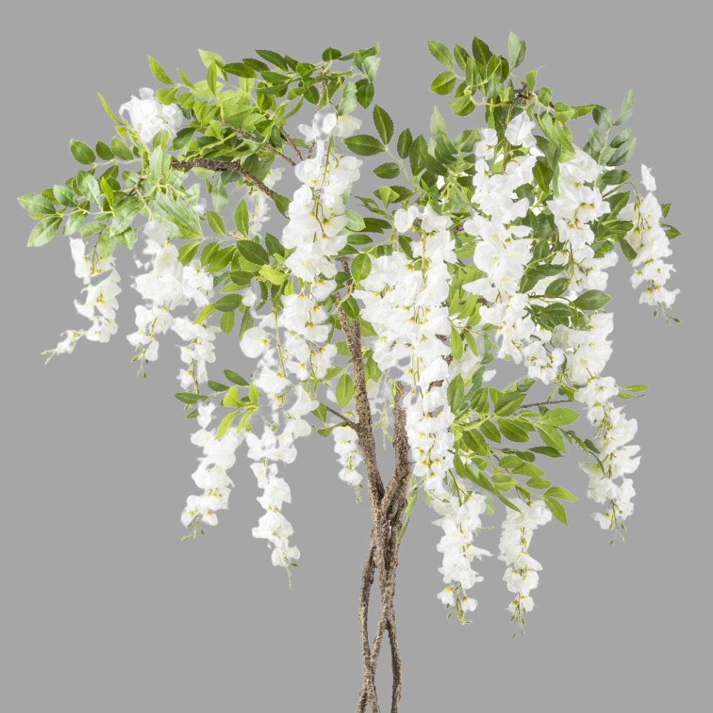 Csavart törzsű, fehér színű mű lilaakác fa.