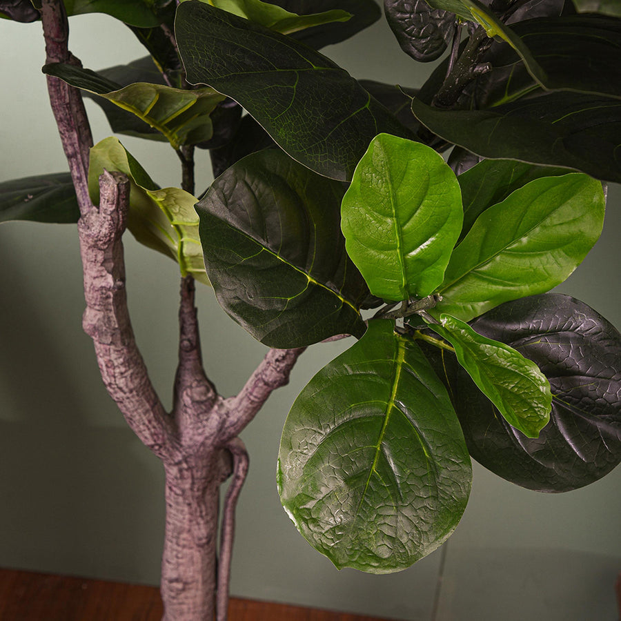 Nagyméretű, 175 cm-es mű fikusz cserje beltéri dekorációként.