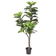 175 cm magas, élethű mű lantlevelű fikusz fekete kaspóban.