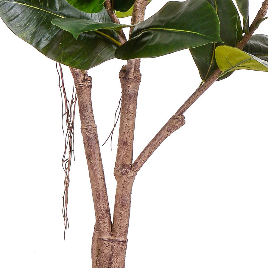 175 cm magas mű Ficus Rubber cserje beltéri dekorációként.