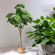 Mű fikusz enteriőrben elhelyezve fonott kaspóban, természetes hatással.