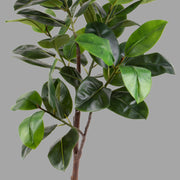 Mű fikusz cserje fekete színű műanyag kaspóban.