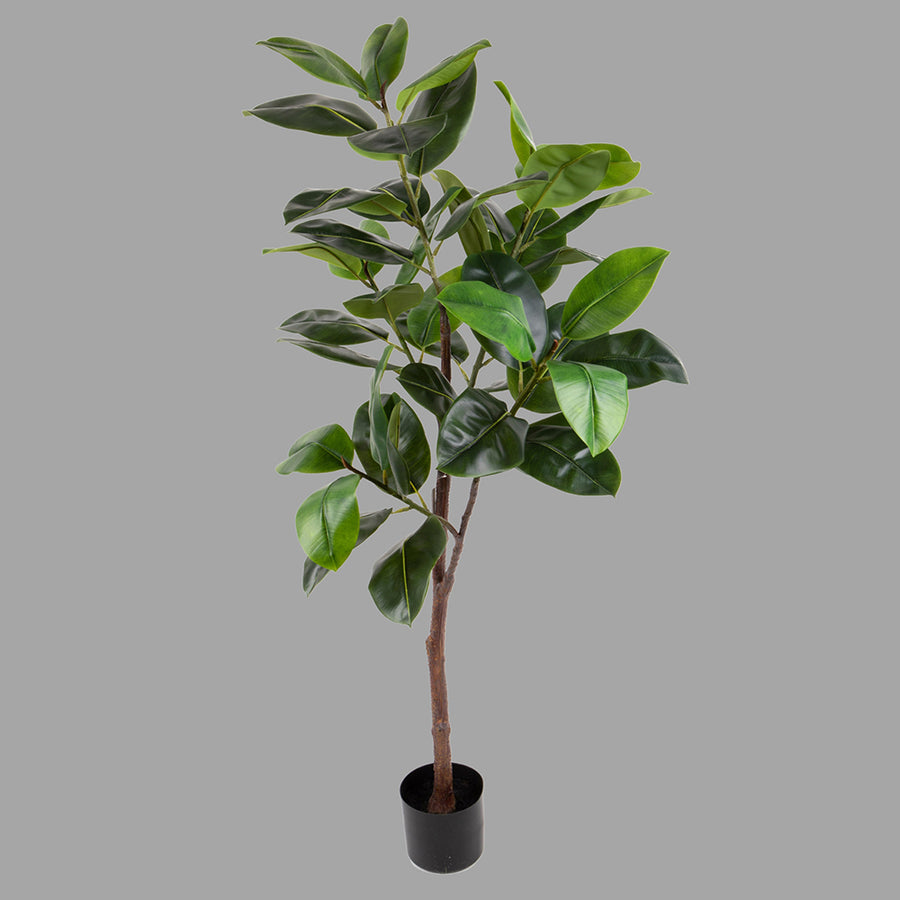 Mű fikusz cserje fekete színű műanyag kaspóban.