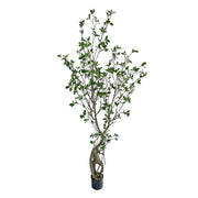 Friss üde zöld lombozatú, mű fikusz cserje műanyag kaspóban.