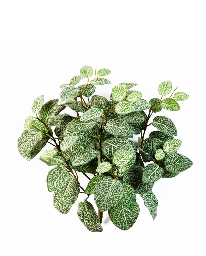 Fittonia zöld mű bokor fehér hálós levelekkel, 25 cm magas élethű növény dekoráció.