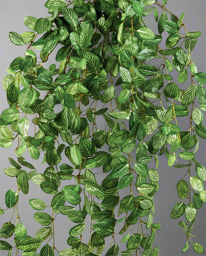 Fittonia műnövény részlet – zöld, fehéren erezett levelek élethű kidolgozással.
