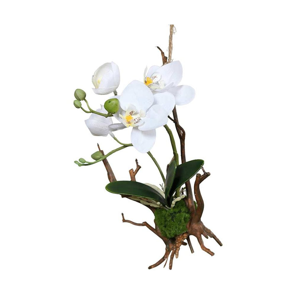 Krém színű, orchidea műnövény kompozíció.
