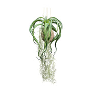 Függeszthető kialakítású, szakállbromélia műnövény dekoráció.