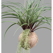 Függeszthető kialakítású, szakállbromélia műnövény dekoráció.