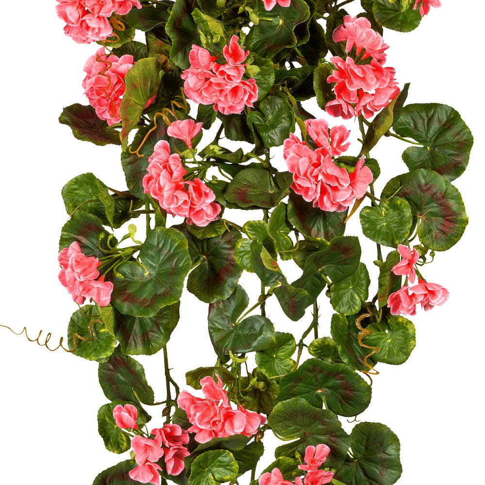 élethű mű muskátli közelről rózsaszín virágok és zöld levelek