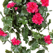 Közelről fotózott pink UV-álló mű muskátli levelei és virágai