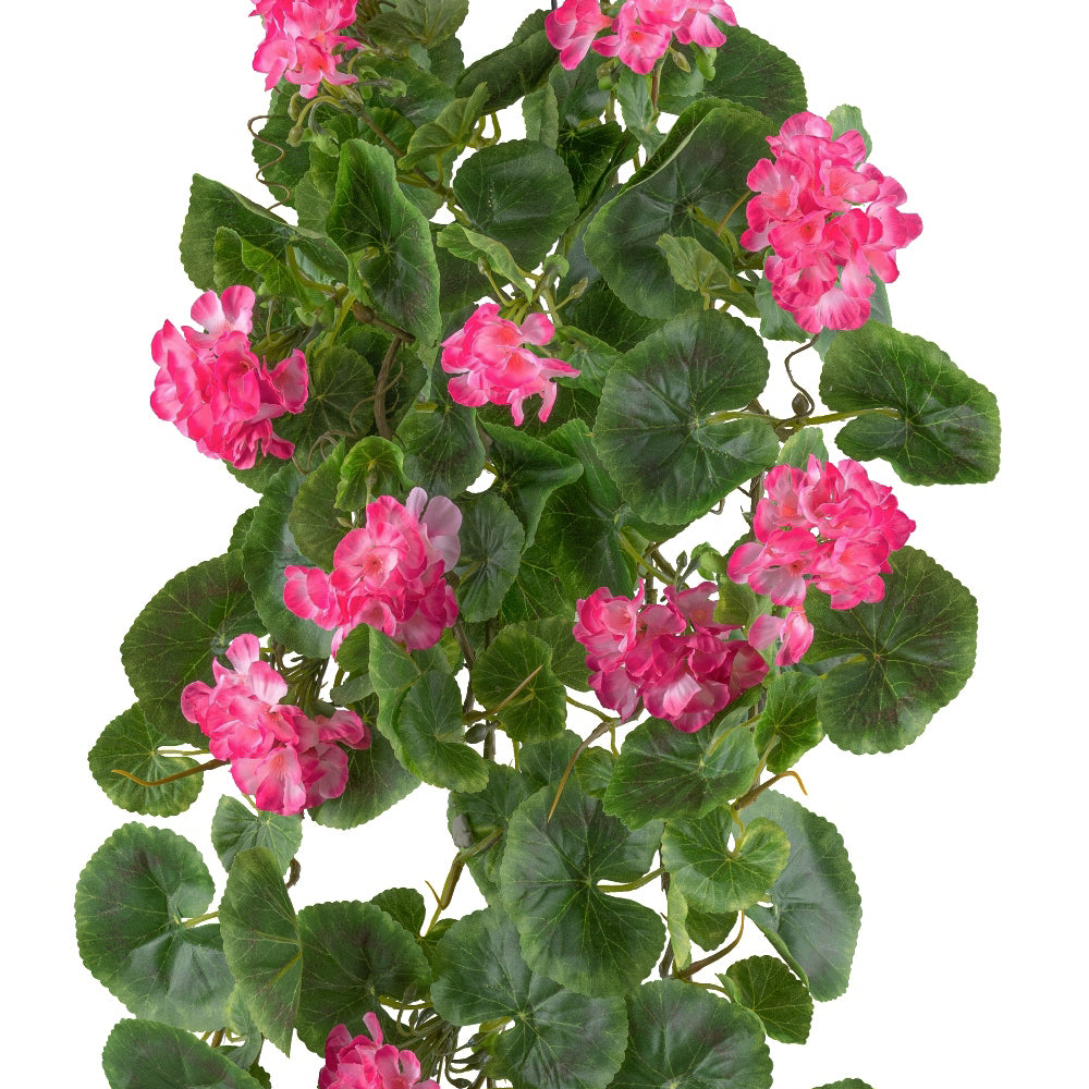 élethű mű muskátli közelről rózsaszín virágok és zöld levelek