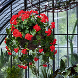 piros mű muskátli függő kosárban erkély dekorációhoz