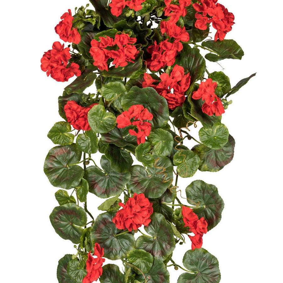 élethű mű muskátli piros virágok és zöld levelek közelről