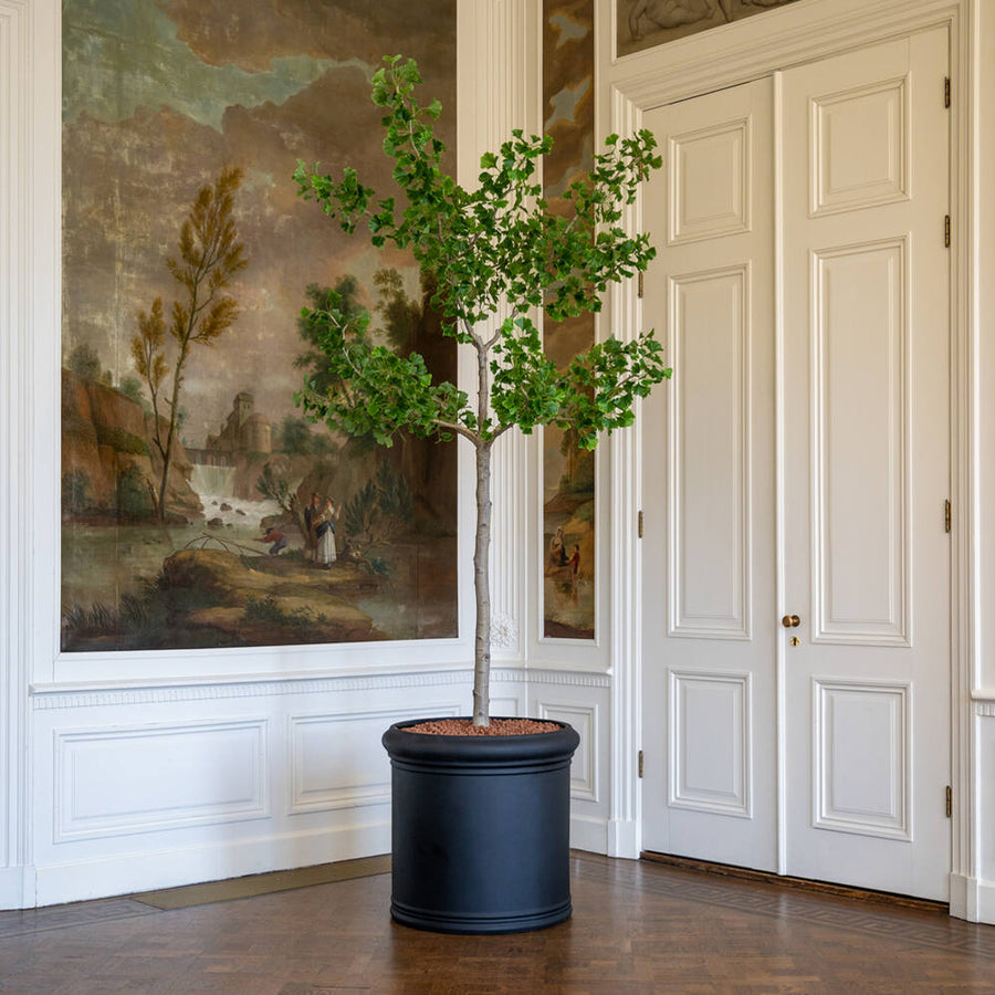 GINKGO BILOBA zöld műfa 270 cm dekoratív kaspóban klasszikus enteriőrben elhelyezve