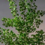 Ginkgo Biloba műfa részletgazdag zöld levelekkel és élethű ágstruktúrával közelről