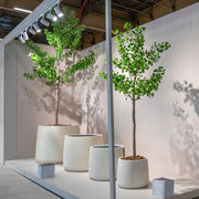 360 cm magas Ginkgo Biloba műfák nagyméretű design kaspókban modern kiállítótérben