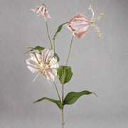 Púderszínű, fényes felületű, koronásliliom művirág.