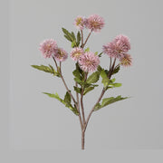 Fáradt rózsaszín színárnyalatú bogáncs művirág.