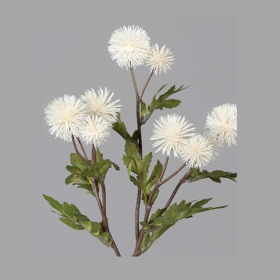 Krém színárnyalatú bogáncs művirág.