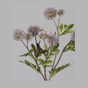 Mályva színárnyalatú bogáncs művirág.