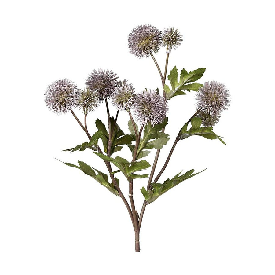 Mályva színárnyalatú bogáncs művirág.