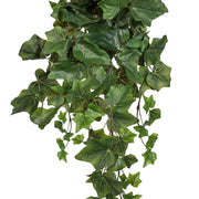 Borostán mű növény közeli képe.