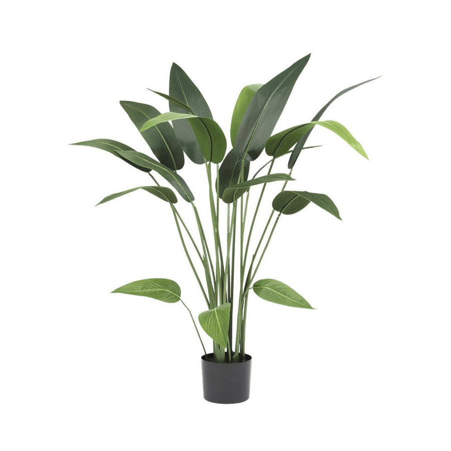 HELICONIA zöld mű rákollóvirág 110 cm fekete cserépben, karcsú szárakkal és élethű zöld levelekkel