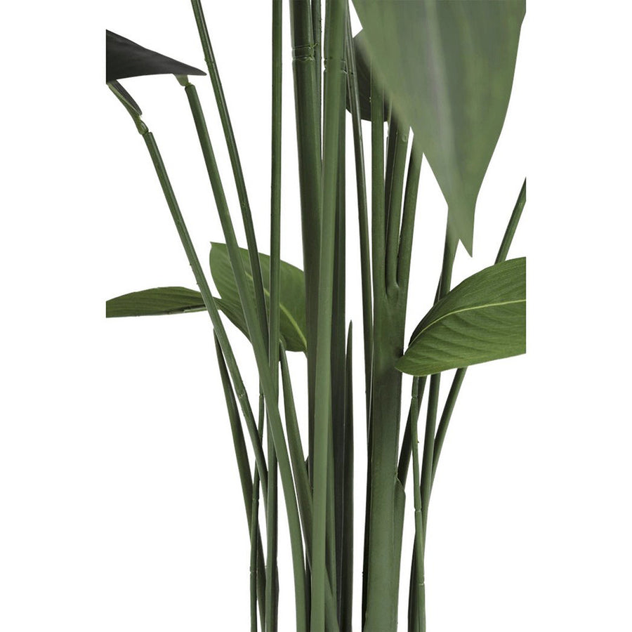 Heliconia mű rákollóvirág szárainak és leveleinek részletfotója, realisztikus textúrával