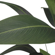 Heliconia mű növény leveleinek közelről fotózott részlete, realisztikus textúrával és árnyalatokkal